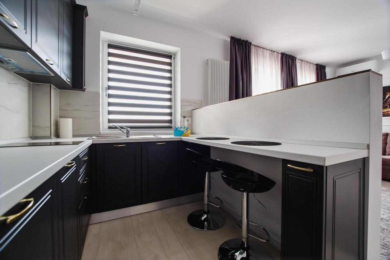 No. 11 - The Penthouse In City Center Oradea Dış mekan fotoğraf